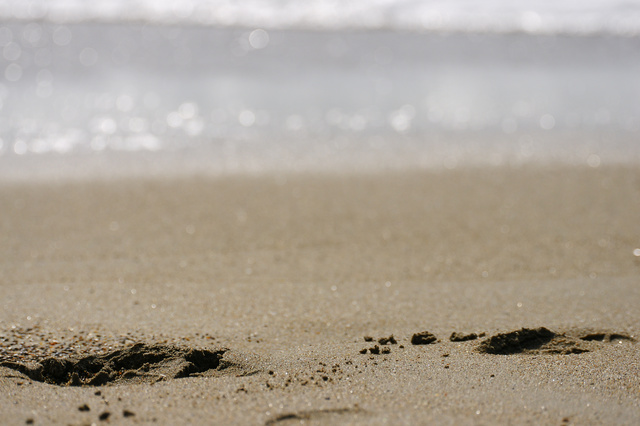 DSC00693.jpg DSC00693.jpg