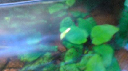 081025_1636~01.JPG 081025_1636~01.JPG