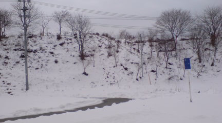 090118_1350~01.JPG 090118_1350~01.JPG