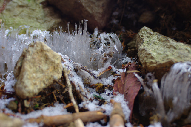 IMGP1087.JPG IMGP1087.JPG