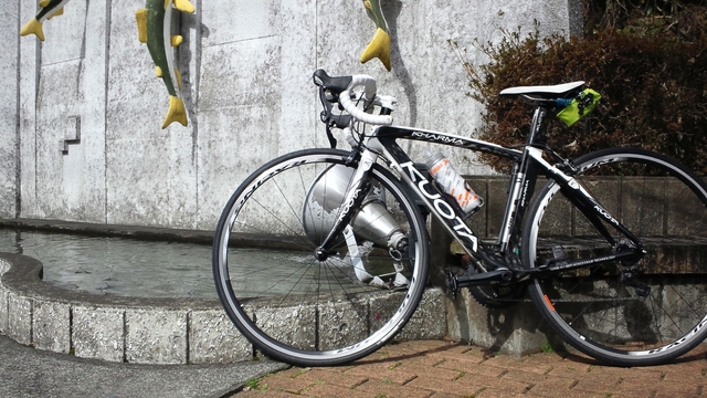 DSC_0390.JPG DSC_0390.JPG