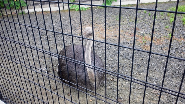 DSC_0632.JPG DSC_0632.JPG