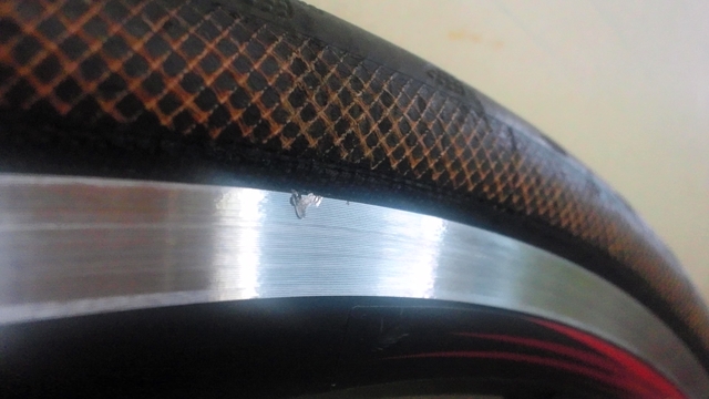 DSC_0644.JPG DSC_0644.JPG