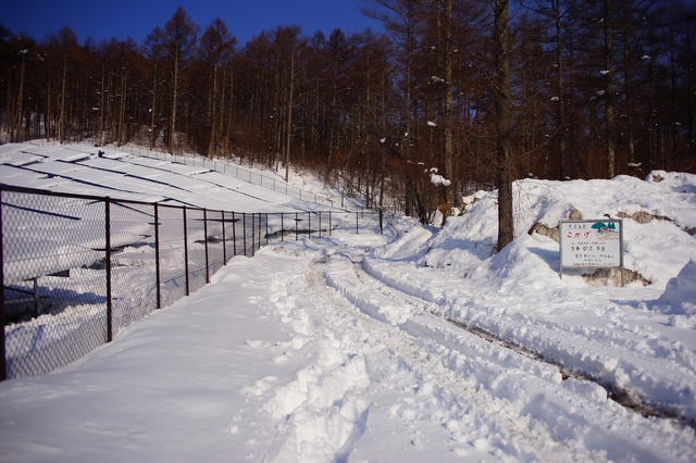 DSC01035.JPG DSC01035.JPG